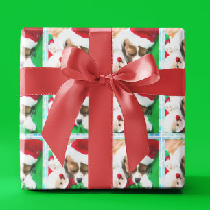 Christmas Sleeping Cavalier King Charles Puppy Wrapping Paper