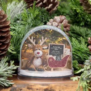 Christmas Sleigh Pregnancy Announcement Snow Globe