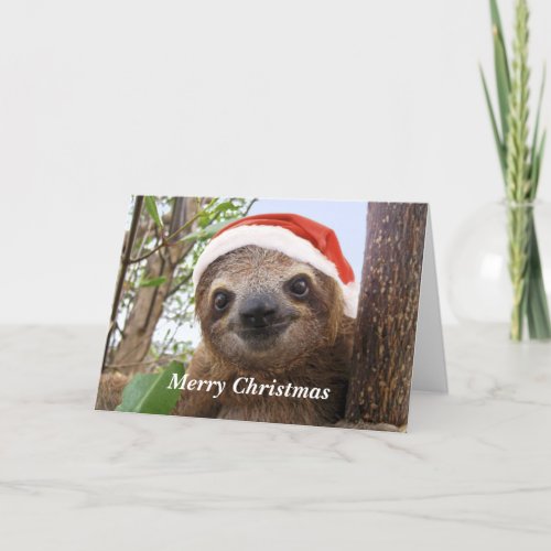 Christmas Sloth Background Holiday Card