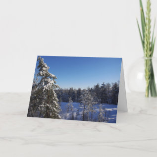 Christmas Snow Covered Trees In Winter Forest Holiday Card at Zazzle