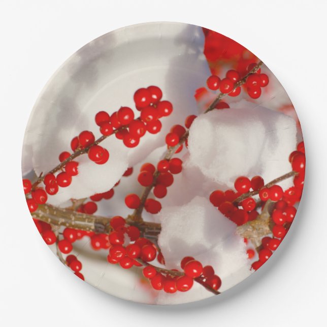 Christmas Snow Red Holiday Berries Xmas Paper Plates (Front)