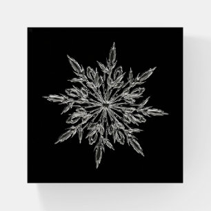 Christmas Snowflake Paperweight