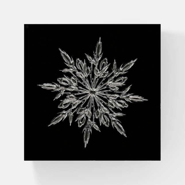 Christmas Snowflake Paperweight (Front)