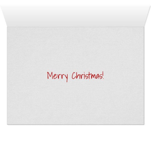 Christmas snowman in sled (Inside Horizontal (Bottom))