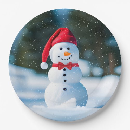 Christmas Snowman In Snowflakes Paper Plates