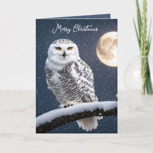 Christmas Snowy Owl In Snowflakes Holiday Card
