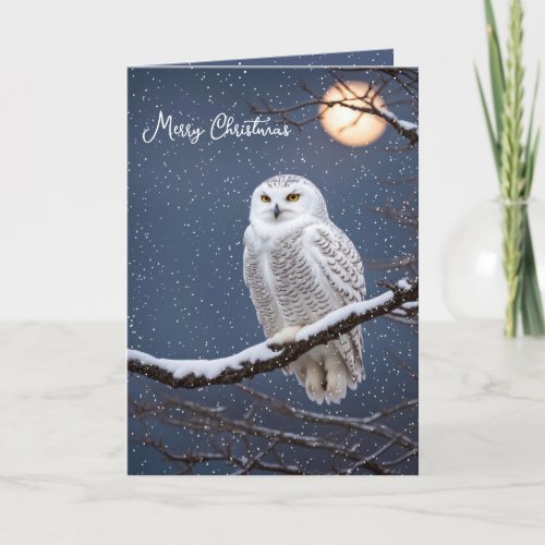 Christmas Snowy Owl In Snowflakes Holiday Card