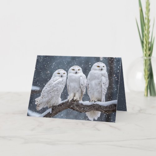 Christmas Snowy Owls Holiday Card