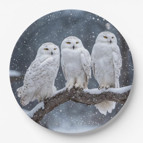 Christmas Snowy Owls Paper Plates