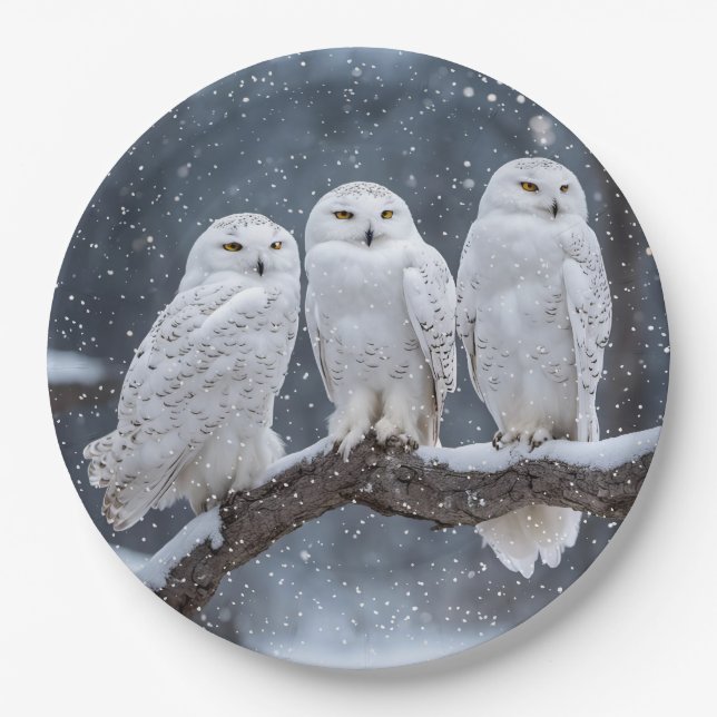 Christmas Snowy Owls Paper Plates (Front)