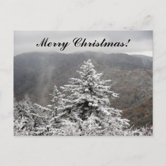 Christmas Snowy Tree Holiday Postcard