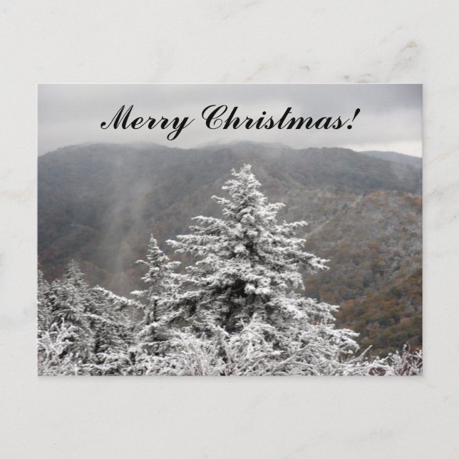 Christmas Snowy Tree Holiday Postcard (Front)