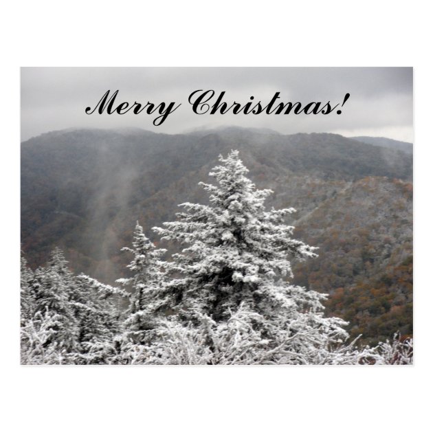 Christmas Snowy Tree Postcard