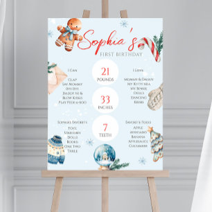 Christmas Soft Winter First Birthday Milestone Foam Board