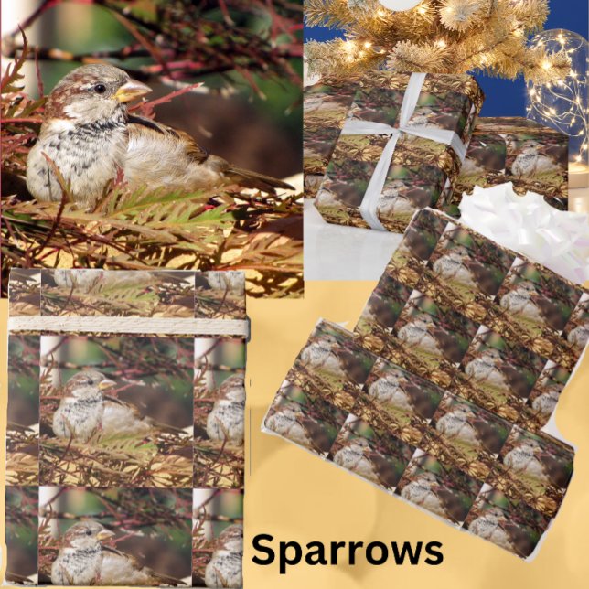 Christmas Sparrow Wrapping Paper (Creator Uploaded)