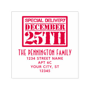 Christmas Special Delivery #2 Name Return Address Self-inking Stamp