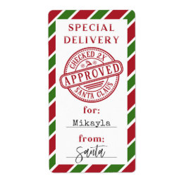 Christmas Special Delivery from Santa Gift Sticker