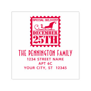 Christmas Special Delivery Name Return Address Self-inking Stamp