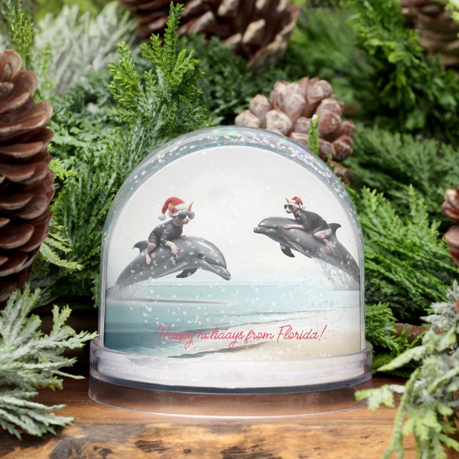 Christmas Sphynx Riding Dolphin Snow Globe (Winter)