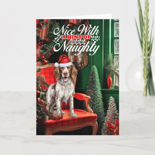 Christmas Springer Spaniel Dog Naughty or Nice Holiday Card