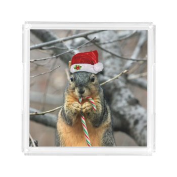 Christmas Squirrel Acrylic Tray by pdphoto at Zazzle
