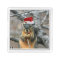 Christmas Squirrel
