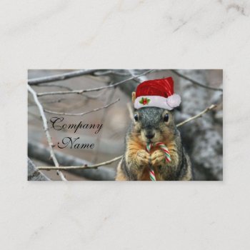 Christmas Squirrel Business Card by pdphoto at Zazzle