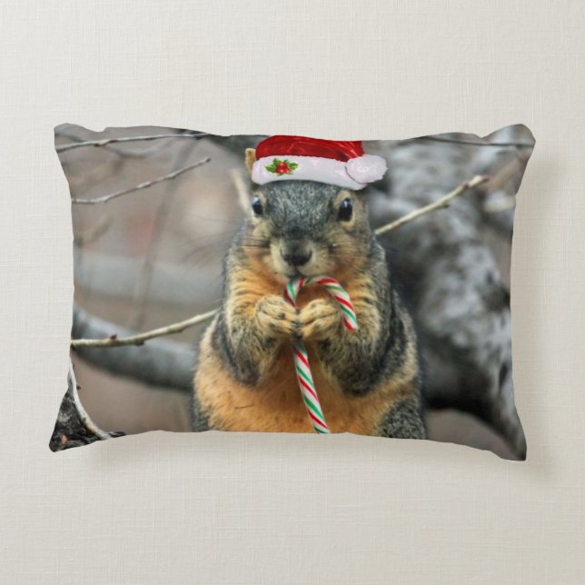 Christmas squirrel decorative pillow (Back)
