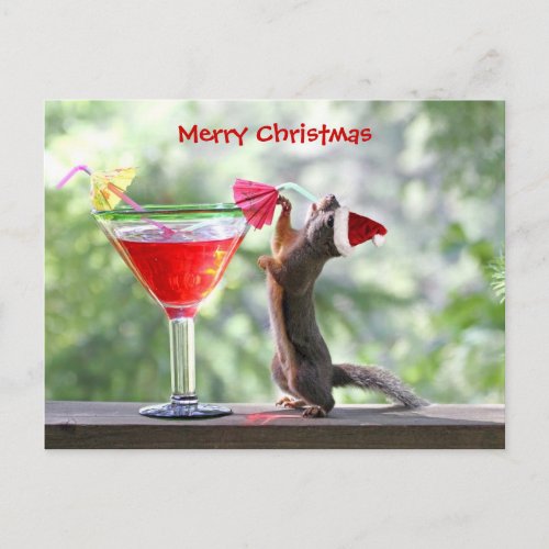 Christmas Squirrel Drinking a Cocktail Holiday Postcard