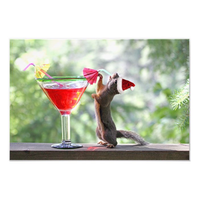 Christmas Squirrel Drinking a Cocktail Photo