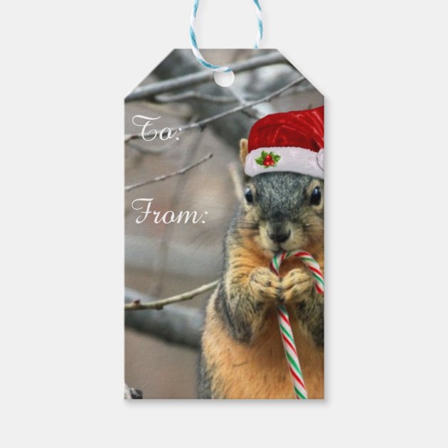Christmas Squirrel Gift Tags