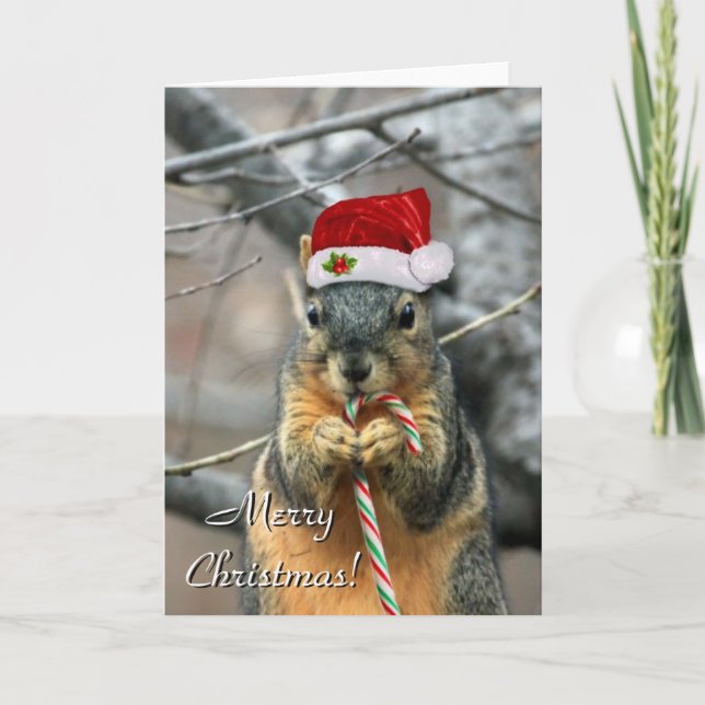 Christmas Squirrel greeting card (Front)