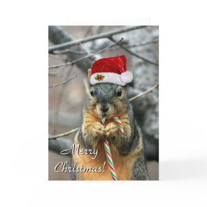 Christmas Squirrel greeting card