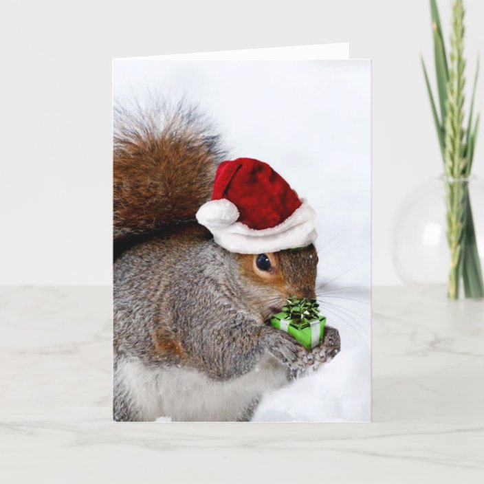 Christmas Squirrel Holiday Card | Zazzle.com