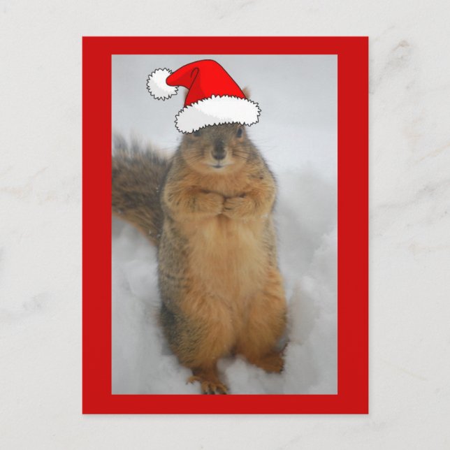 Christmas Squirrel Holiday Postcard (Front)