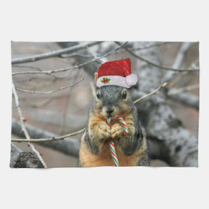 Christmas squirrel kitchen towel