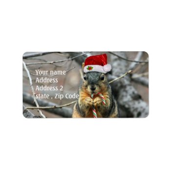 Christmas Squirrel Label by pdphoto at Zazzle