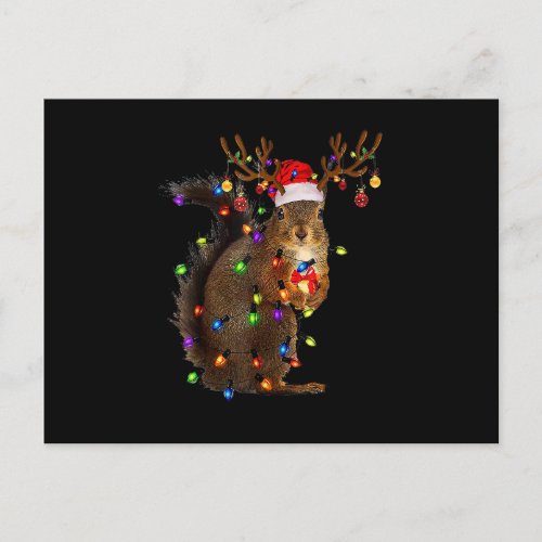 Christmas Squirrel Lights Postcard