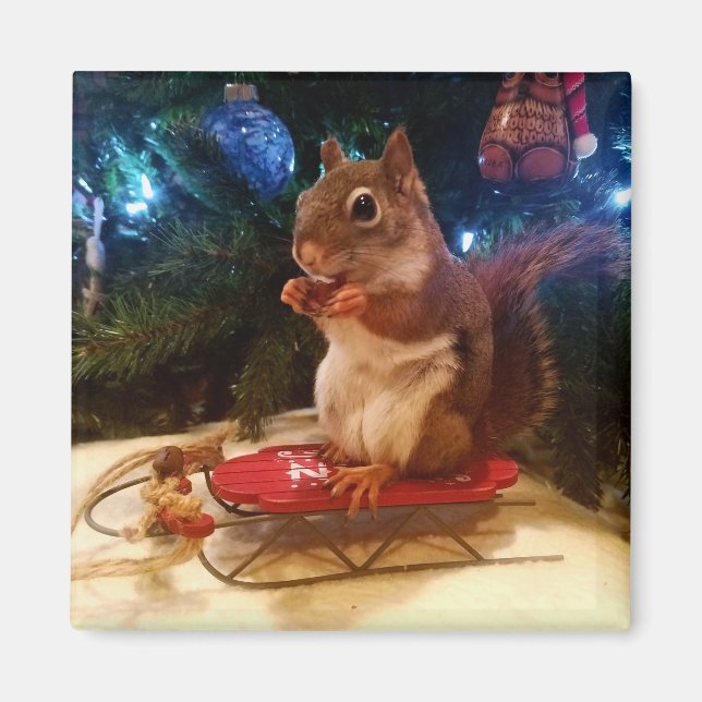 Christmas Squirrel Magnet (Front)