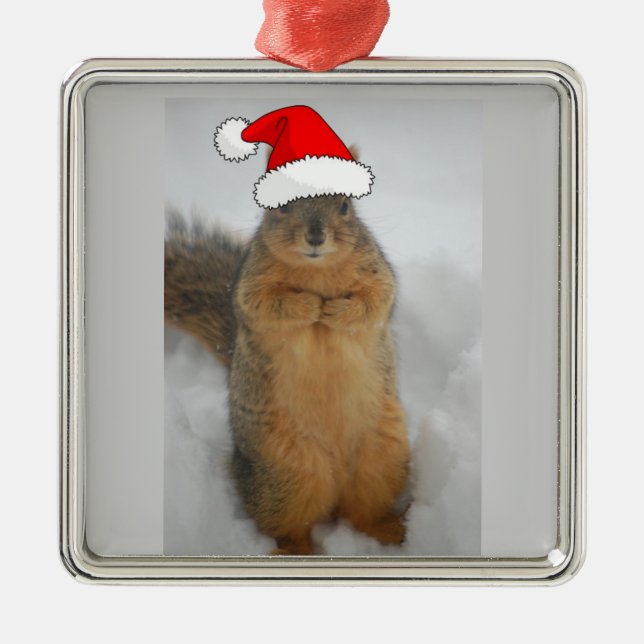 Christmas Squirrel Metal Ornament (Front)