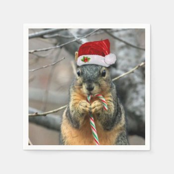 Christmas Squirrel Napkins by pdphoto at Zazzle