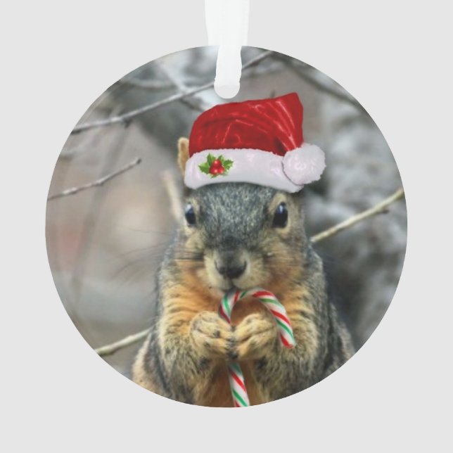 Christmas Squirrel Ornament (Back)