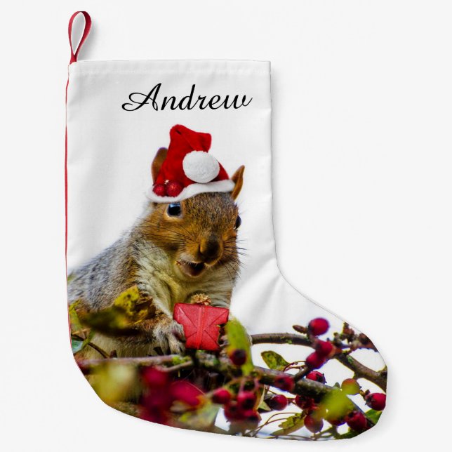 Christmas Squirrel personalized stocking (Front)