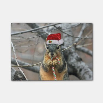 Christmas Squirrel Post-it Notes by pdphoto at Zazzle