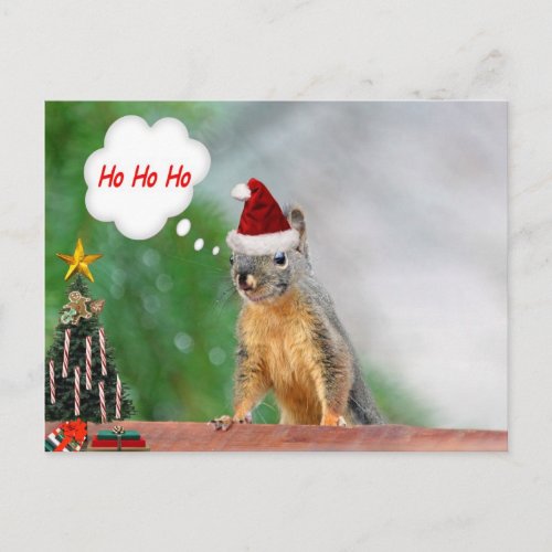 Christmas Squirrel Saying Ho Ho Ho Holiday Postcard