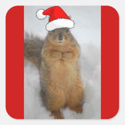Christmas Squirrel Square Sticker