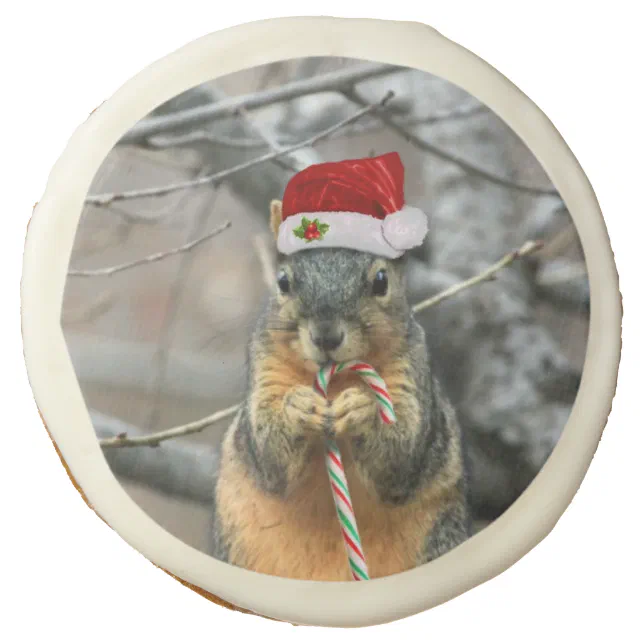 Christmas Squirrel Sugar Cookie Zazzle