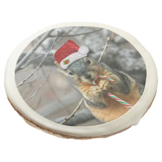 Christmas Squirrel Sugar Cookie (Angled)