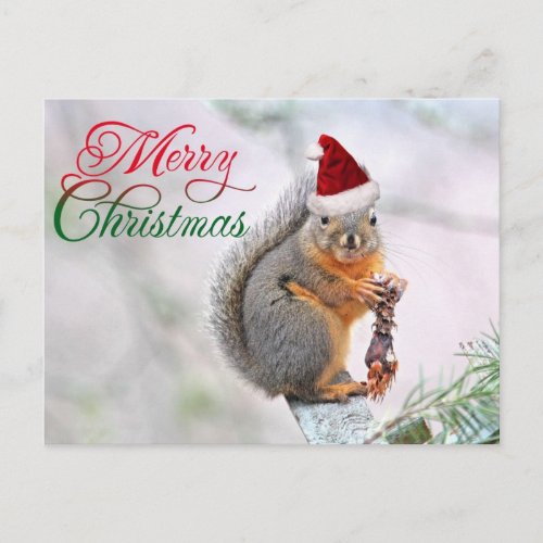 Christmas Squirrel Wearing Santa Claus Hat Holiday Postcard