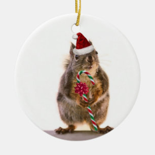 Christmas Squirrel with Candy Cane Ceramic Ornament